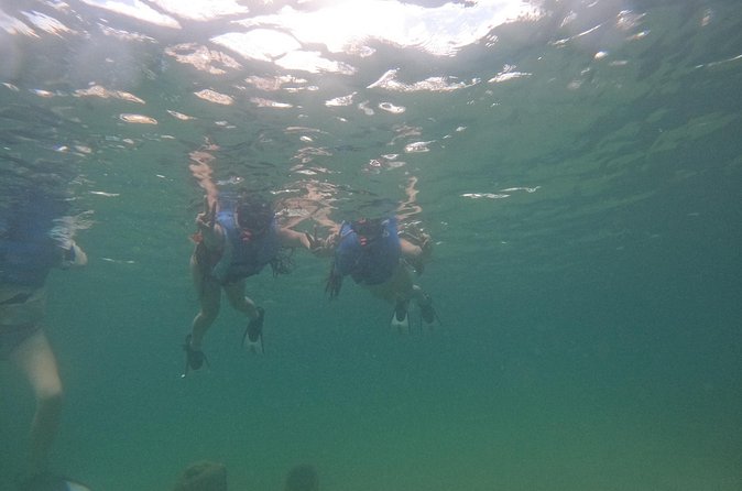 San Juan Turtle Spotting Snorkel Adventure with Videos - Guides, safety, and that human touch people keep praising