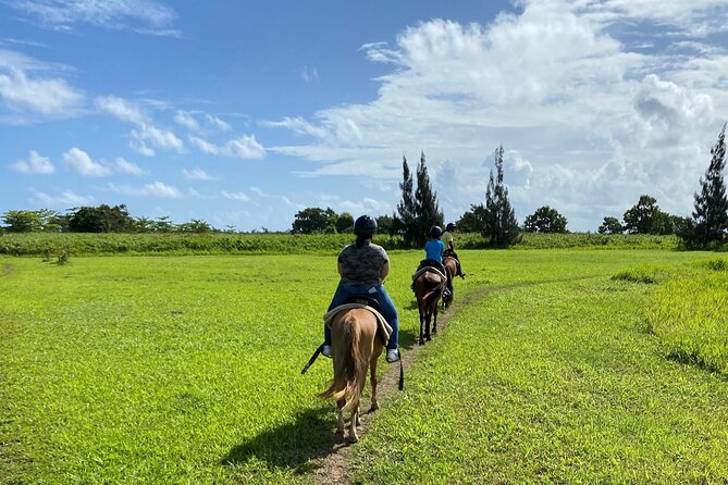 Scenic Horseback Riding Tour from San Juan - Why this San Juan horseback tour feels more like a real ranch day
