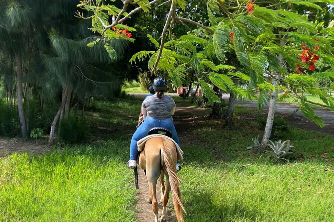 Scenic Horseback Riding Tour from San Juan - Safety, horse comfort, and the 240 lb limit you should not gamble on