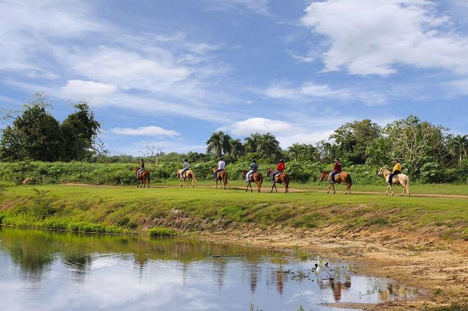 Scenic Horseback Riding Tour from San Juan - Pickup in San Juan, timing, and how to avoid getting stressed