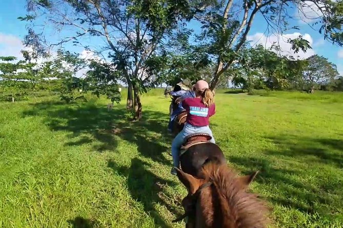 Scenic Horseback Riding Tour from San Juan - Group size, equipment, and how the ride likely feels
