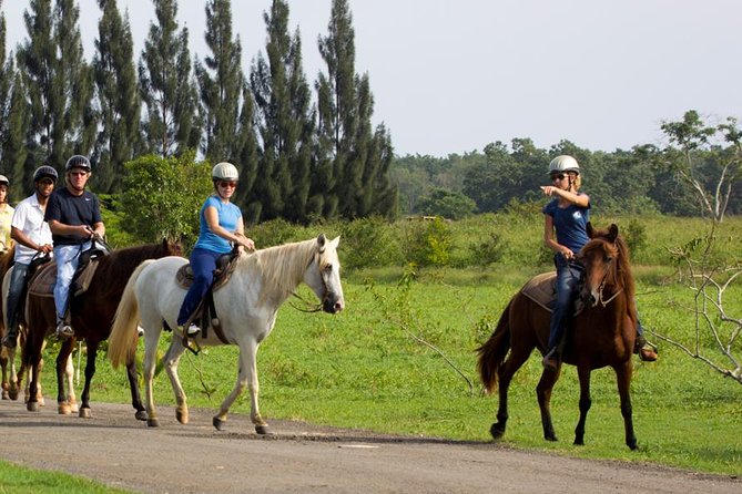 Scenic Horseback Riding Tour from San Juan - The countryside route: lagoons, fields, and wildlife time