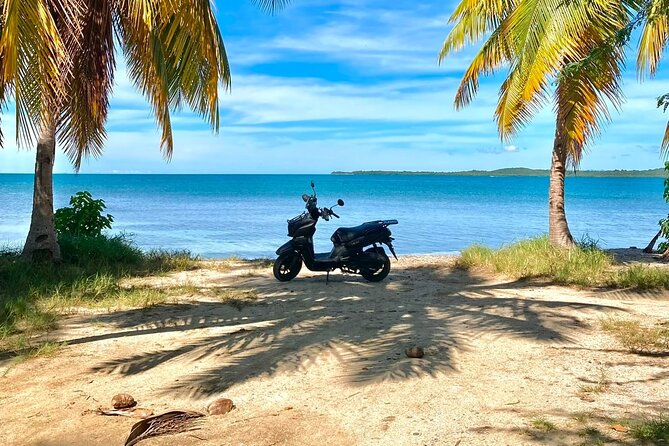 Scooter Rental San Juan Puerto Rico - Stop 6, El Yunque National Forest: your biggest nature block for free