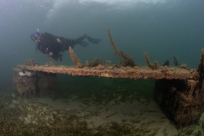 Scuba Tour for Certified Divers in San Juan - Facilities and gear: the kind of included help that saves hassle