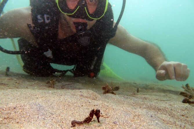 Scuba Tour for Certified Divers in San Juan - Is $91 a good value for this experience?