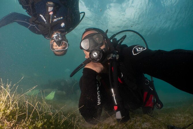 Scuba Tour for Certified Divers in San Juan - Meeting point, timing, and what the day feels like