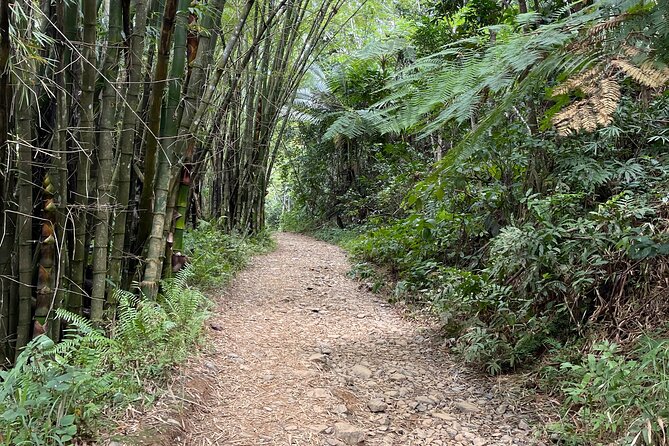 Small Group El Yunque Half Day Tour with Transport: Waterslide - Timing and Crowd Control, Going Early Helps More Than You Think
