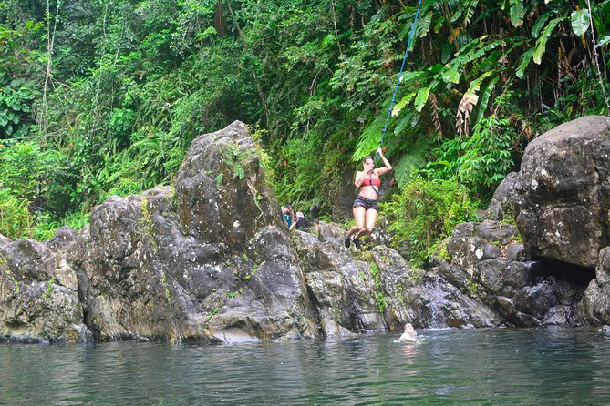 Small-Group El Yunque Rainforest Vivid Day Tour with Transport - Entering El Yunque via the east side: a short rainforest route with real hands-on access