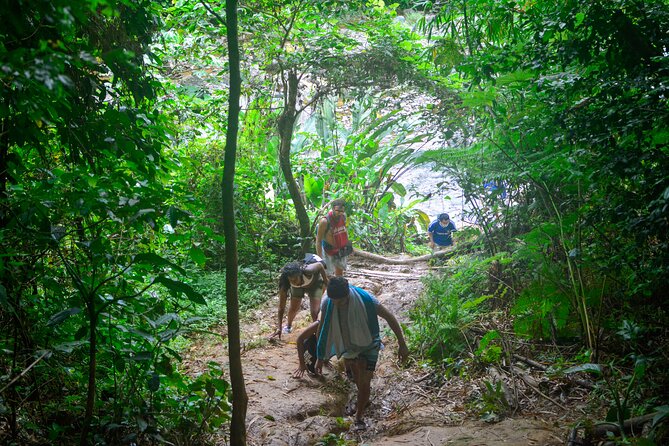 Small-Group El Yunque Rainforest Vivid Day Tour with Transport - Stop 1 First mineral pool: bamboo, guava trees, and a swim-ready start