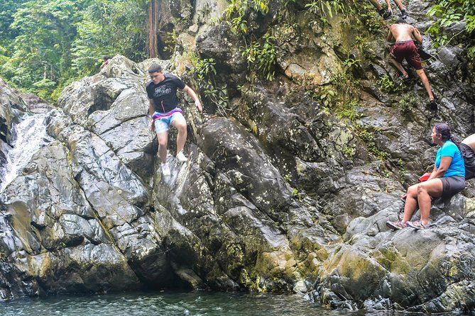 Small-Group El Yunque Rainforest Vivid Day Tour with Transport - Rope swings and cliff-style jumps: fun, but only with the right expectations