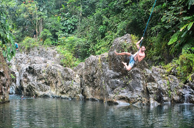 Small-Group El Yunque Rainforest Vivid Day Tour with Transport - Saturday vs weekdays: steeper, muddier, and more physical