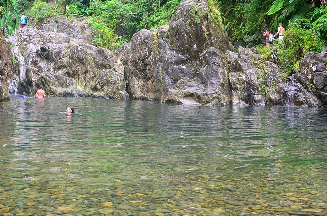 Small-Group El Yunque Rainforest Vivid Day Tour with Transport - The guide factor: why the rainforest talk and safety coaching matter