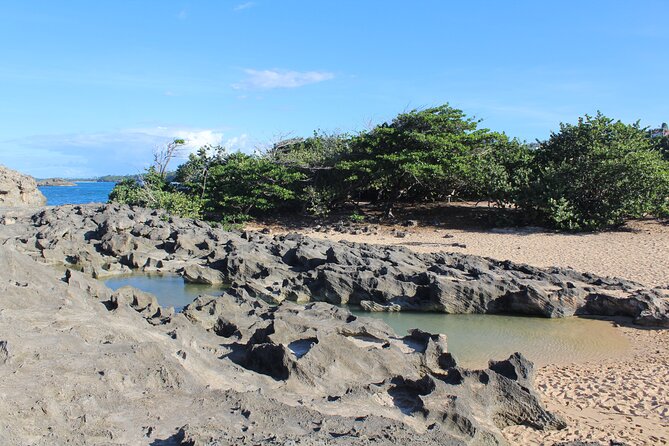 Small-Group North Coast Beach Hopping Adventure in Puerto Rico - A 9:00 am beach-hopping day that actually works without a rental car