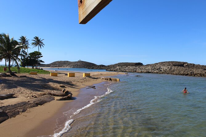 Small-Group North Coast Beach Hopping Adventure in Puerto Rico - Transfers, timing, and why the guide matters more than you think
