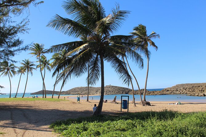 Small-Group North Coast Beach Hopping Adventure in Puerto Rico - Price and value: what you’re really paying for at $139.99