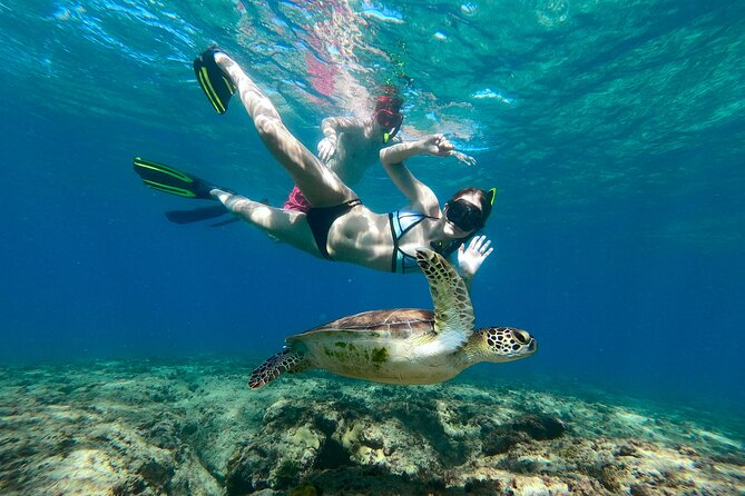 Snorkeling Adventure in Aguadilla - Quick hits you’ll feel during the day