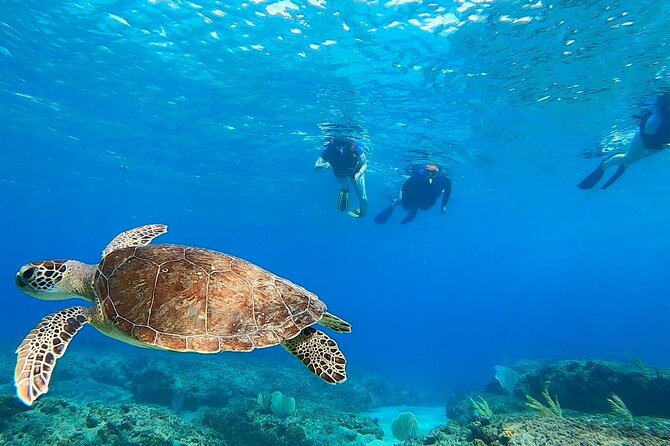 Snorkeling Adventure in Aguadilla - Aguadilla reef snorkeling from the shore, no boat needed