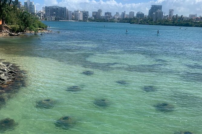 Snorkeling Guided Tour Experience in Condado Lagoon - Key Points Before You Go