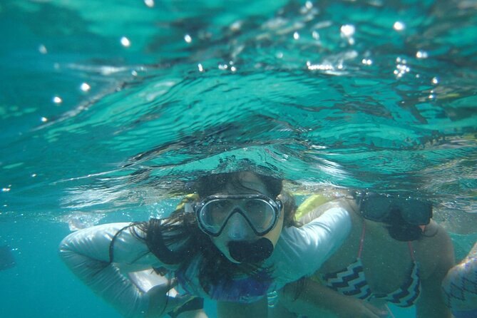 Snorkeling Guided Tour Experience in Condado Lagoon - Wildlife You Can Expect, and What Is Actually Hard to Guarantee