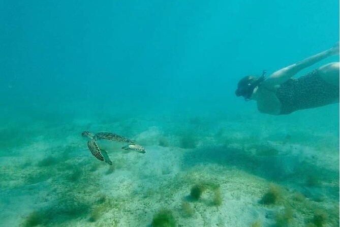 Snorkeling in Paradise - Videos Included - Escambron Beach snorkeling that keeps things close to shore