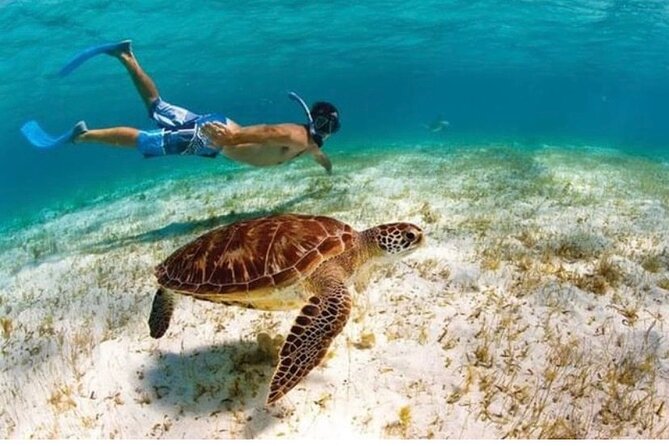 Snorkeling in Paradise - Videos Included - The safety briefing that teaches snorkel basics and wildlife etiquette