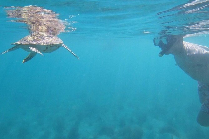 Snorkeling in Paradise - Videos Included - Your guide team, gear fitting, and the small-group feel