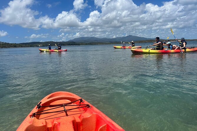 Snorkeling & Kayak Eco-Adventure in Puerto Rico - Meeting point at Pirate Snorkeling Shack: timing, waivers, and where to start
