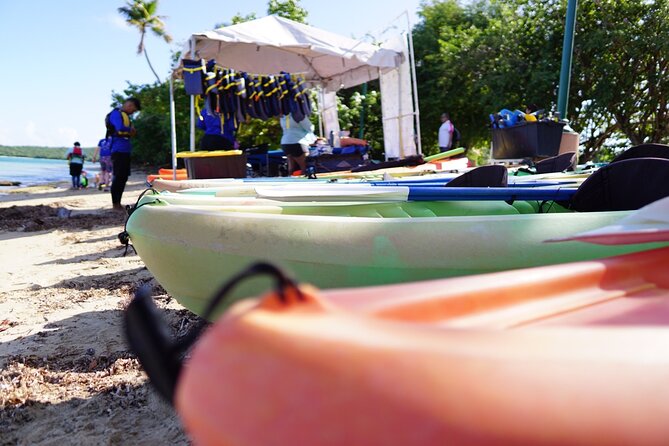 Snorkeling & Kayak Eco-Adventure in Puerto Rico - Reef expectations in Puerto Rico: turtles, fish, and what affects sightings