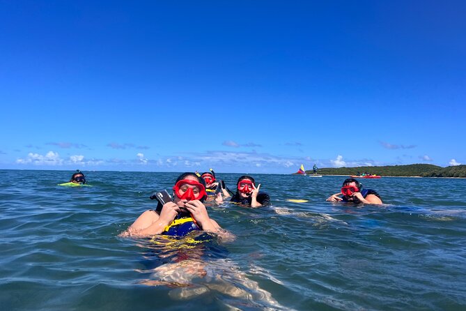 Snorkeling & Kayak Eco-Adventure in Puerto Rico - Guides make or break this kind of tour, and here they are getting praised