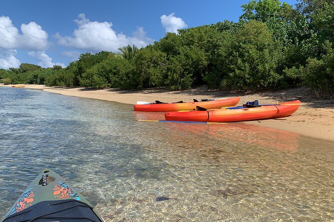 Snorkeling & Kayak Eco-Adventure in Puerto Rico - The 3-hour flow: kayak first, then snorkeling the reef