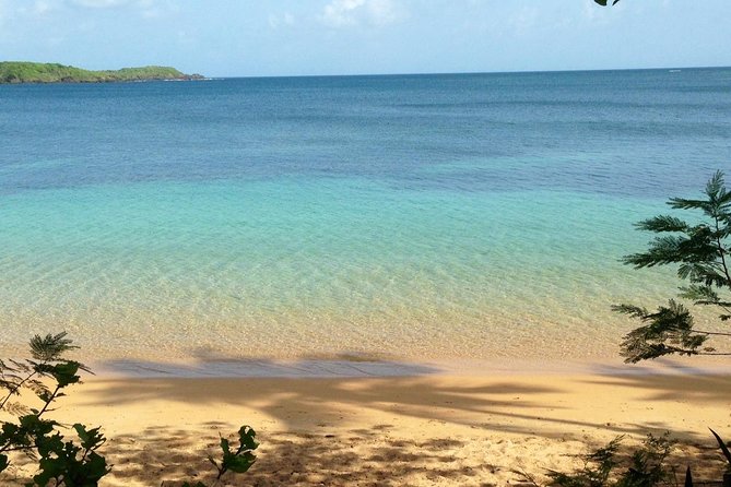 Snorkeling Lesson & Interactive Experience for Kids and Adults - Meeting at Pirate Snorkeling Shack, then getting your basics right