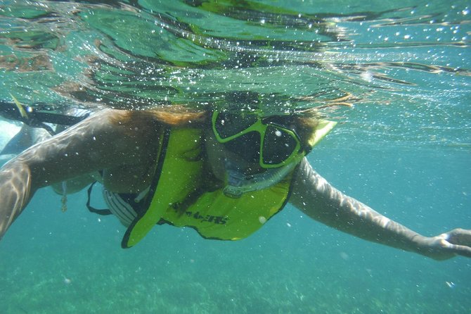 Snorkeling Lesson & Interactive Experience for Kids and Adults - Small groups and patient coaching that actually helps