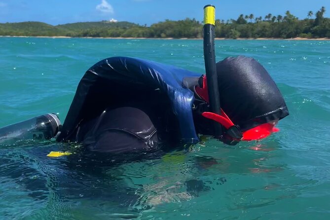 Snorkeling Lesson & Interactive Experience for Kids and Adults - Should you book this Fajardo snorkeling lesson?
