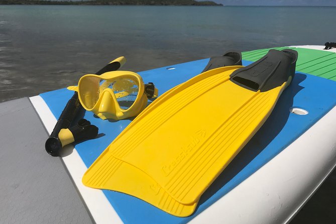 Snorkeling Lesson & Interactive Experience for Kids and Adults - How the mask breathing lesson works for kids and adults