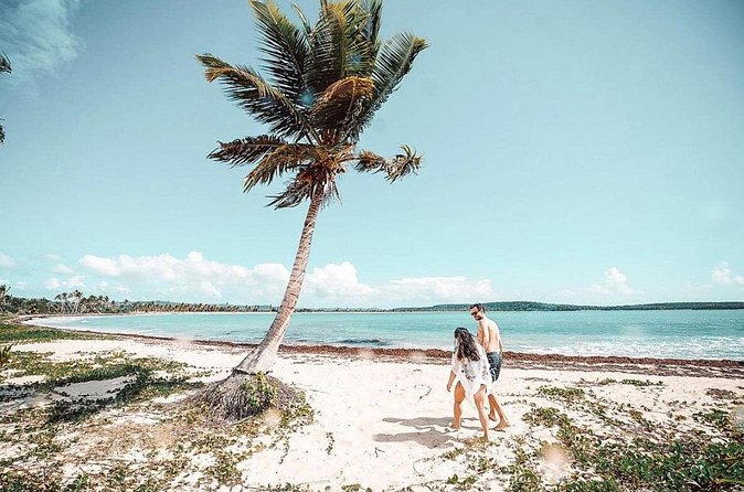 Snorkeling Tour to Vieques Island only 30 minutes away! - The middle of the day: refreshments, optional extras, and beach time