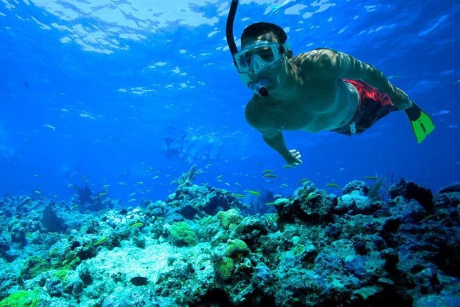 Snorkeling Tour to Vieques Island only 30 minutes away! - Price and value around $134.92: what you are really paying for