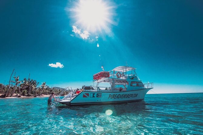 Snorkeling Tour to Vieques Island only 30 minutes away! - Snorkeling Vieques: turtles, rays, and the best way to watch