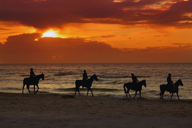 Sunset Horseback Ride by the Beach in Aguadilla, Puerto Rico - Key Highlights Before You Saddle Up