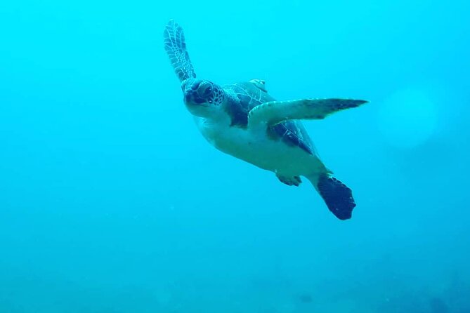 Sunset Snorkeling - Safety and comfort in night conditions: what you can do