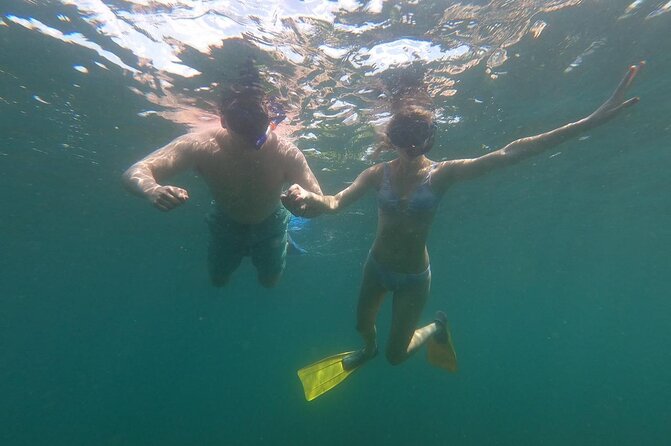 Sunset Snorkeling - The PADI night diver requirement, and why you should care