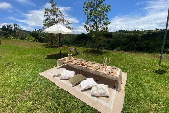 Tailor Made Luxury Picnic with Breathtaking Views - Speaker and card games: the low-effort way to keep it fun