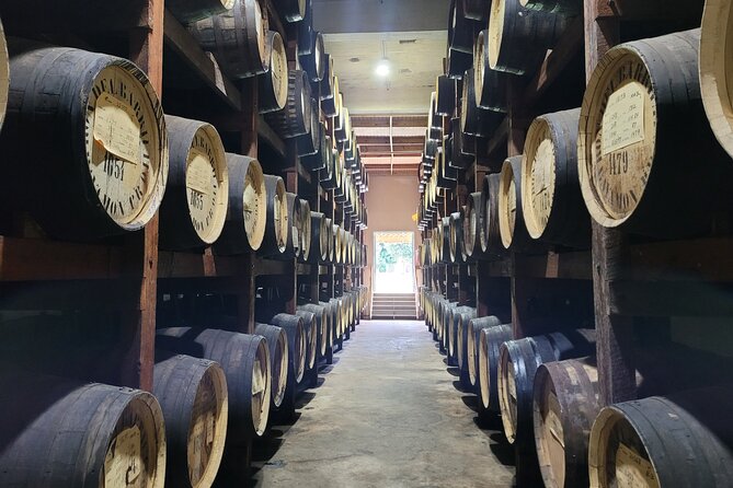The Barrilito Rum Factory Experience Transportation Included - Key highlights you’ll feel fast