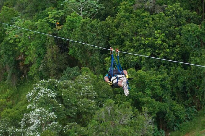The Beast Zipline at Toroverde Adventure Park in Puerto Rico - The Beast at ToroVerde: what you are really paying for