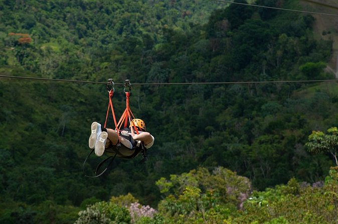 The Beast Zipline at Toroverde Adventure Park in Puerto Rico - Views from above: what to look for during the flight