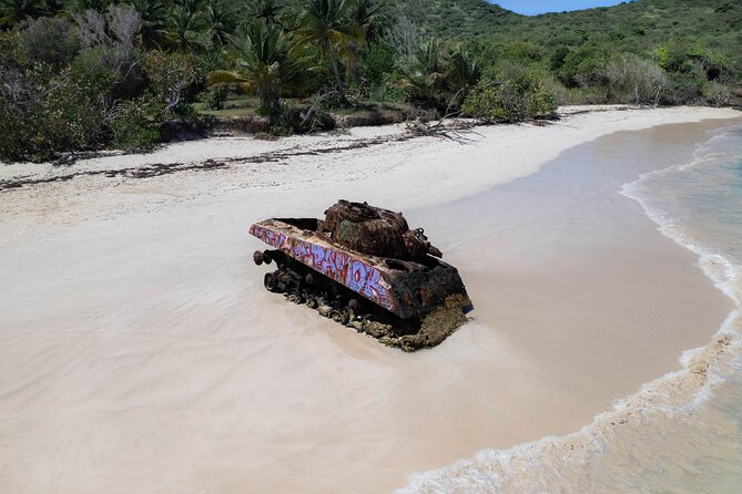 Theo Culebra Island Experience - Snorkeling on Culebra: Gear, Floaties, and Real Help for First Timers
