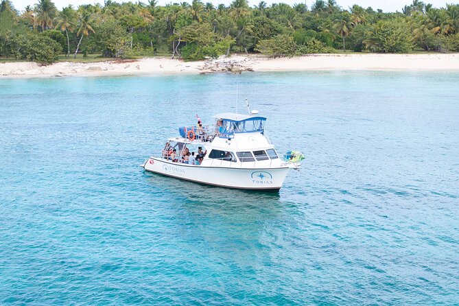 Tobias Icacos Half Day Tour - The Coral Reef Stop: Snorkel Setup, Lunch, and Getting the Most Out of Limited Time