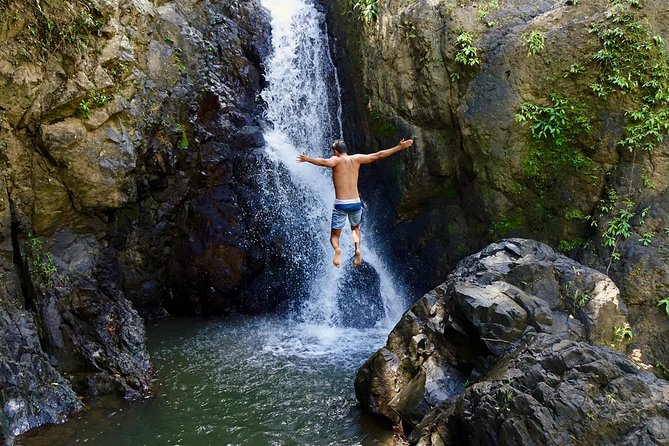 Top Rated El Yunque Rainforest & Waterslide - SmallGroup Tour - Quick hits before you go