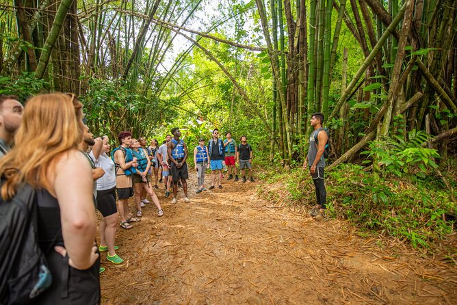 Top Rated El Yunque Rainforest & Waterslide - SmallGroup Tour - Stop 1: the first waterfall, rope swing, and height options