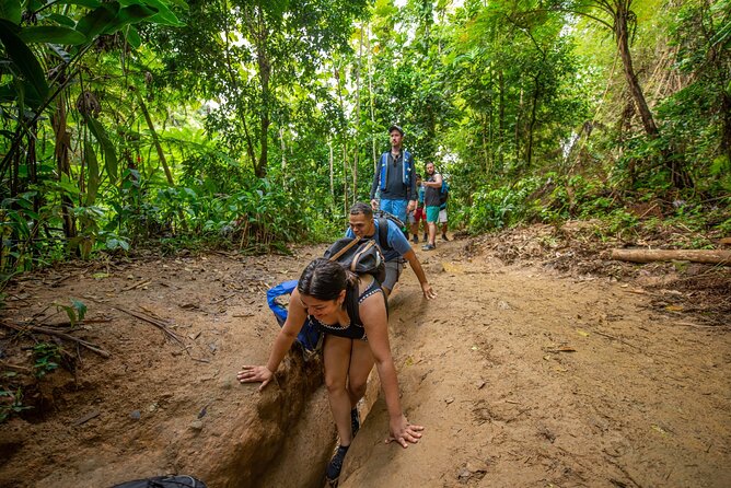 Top Rated El Yunque Rainforest & Waterslide - SmallGroup Tour - What your guide actually adds, beyond directions