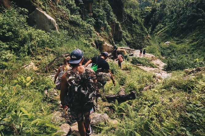 Top Rated El Yunque Rainforest & Waterslide - SmallGroup Tour - The lunch break: authentic Puerto Rican food, at your own cost